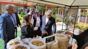 معاون وزیر کشور: سهم ایران در بازار محصول بادام افزایش یابد