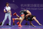Иранский борец греко-римского стиля завоевал золотую медаль Азиатских игр