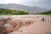 سیلاب به شهرستان های نوشهر و چالوس خسارت زد
