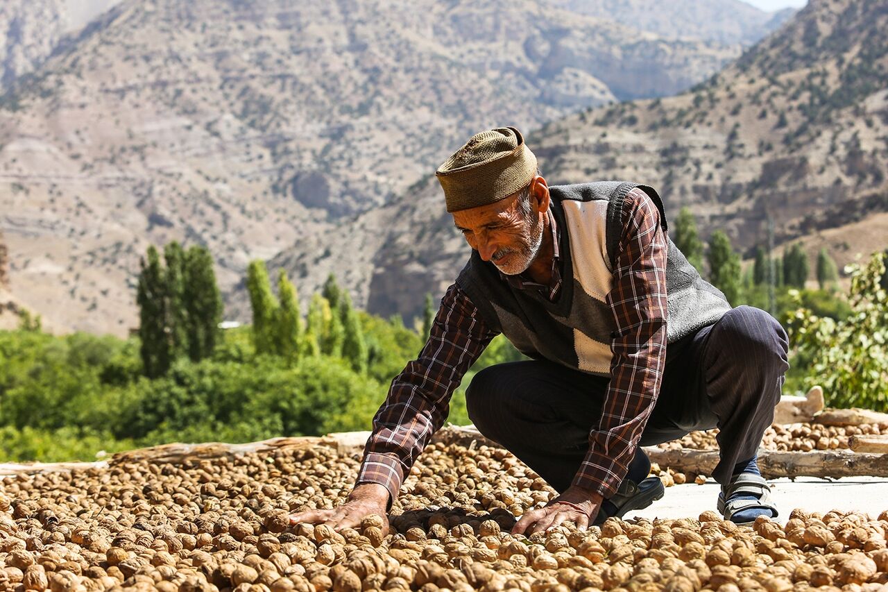 رونق اقتصادی، کلید واژه جشنواره‌های گردشگری روستایی در ملایر