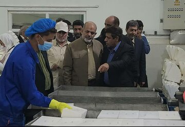 بازدید وزیر کشور از واحد تولیدی عمل آوری آبزیان در شهرک صنعتی بوشهر
