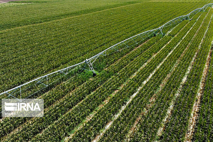 اجرای چهارده طرح کشاورزی آذربایجان شرقی با اعتبارات مولدسازی