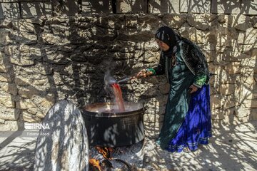 Les Iraniens célèbrent la Journée des villages et des nomades