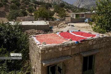 Les Iraniens célèbrent la Journée des villages et des nomades