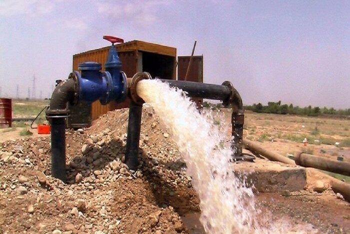 بیش از چهارهزار تن محصول دامی عشایر چالدران روانه بازار شد