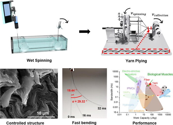 الیافی همانند عضلات انسان ساخته شد