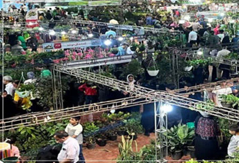 رکود بازدید از نمایشگاه‌های یزد با حضور ۱۵ هزار نفر در نمایشگاه گل و گیاه شکسته شد + فیلم