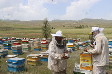 حدود ۲ هزار تسهیلات حمایتی به مددجویان خراسان شمالی پرداخت شد