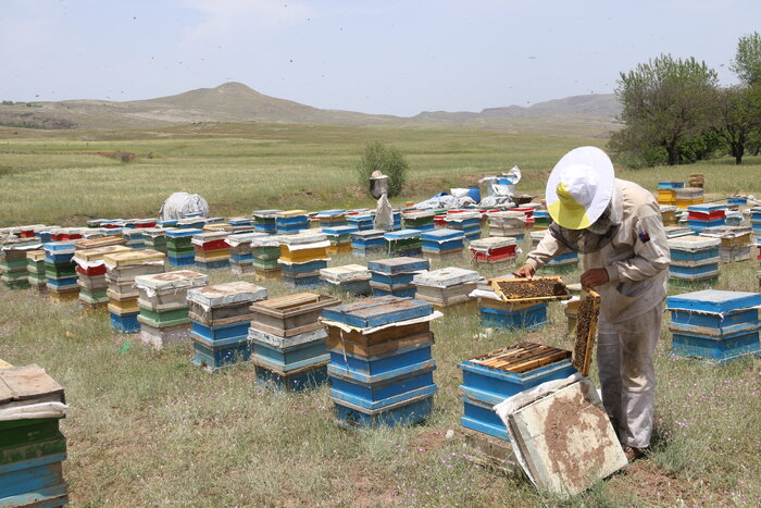 کسب نان حلال با دستانی پر از پینه