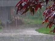 فیلم/ بارش باران پاییزی در ایلام