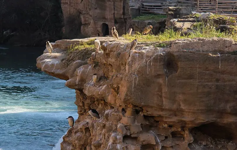 سازههای آبی شوشتر؛ نبوغ معماری دو هزارساله