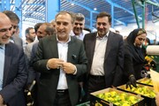 مروری بر پروژه‌های توسعه کشاورزی فارس در سفر رییس‌جمهور