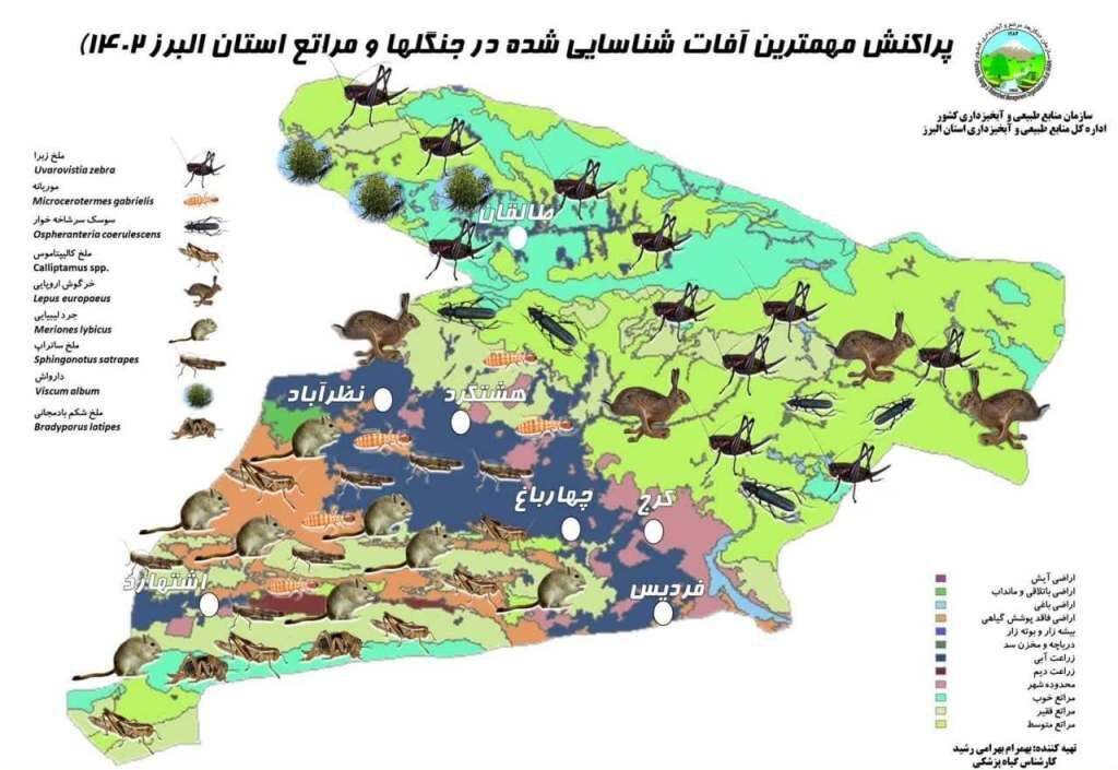 ۹ آفت و بیماری  کلیدی در جنگل ها و مراتع البرز شناسایی شد