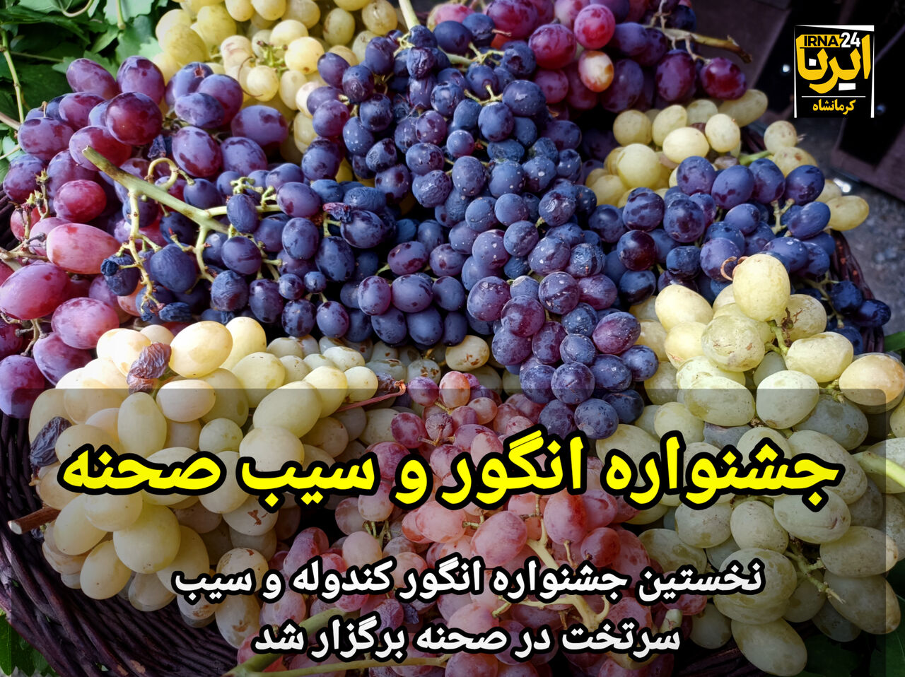 نخستین جشنواره انگور و سیب صحنه در کرمانشاه برگزار شد+فیلم