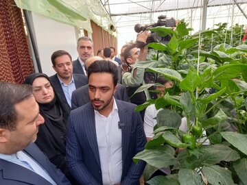 وزیر جهادکشاورزی: بیضای فارس پایلوت کشت گلخانه‌ای کشور شد
