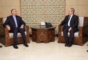 Iran, Syrian FMs discuss Palestine in Damascus