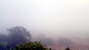 پیش بینی وقوع مه صبحگاهی در استان بوشهر