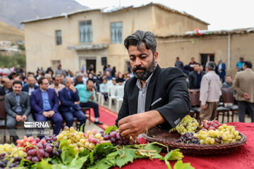 Grape and apple harvest festival in west Iran