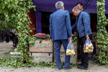 Grape and apple harvest festival in west Iran