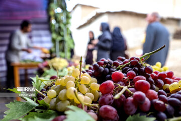 Grape and apple harvest festival in west Iran