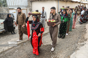 Grape and apple harvest festival in west Iran