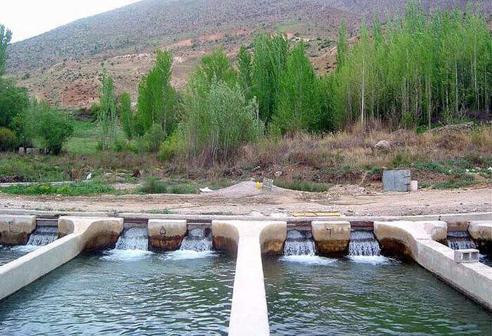 ۲۲۵۰ تن خوراک ماهی از کهگیلویه و بویراحمد به خارج از کشور صادر شد