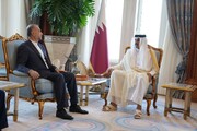Emir Abdullahiyan, Katar Emiri ile görüştü