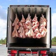 ناوگان حمل و نقل گوشت در لرستان نیازمند نوسازی است