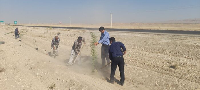 قبای سبز درختکاری بر تَن فارس؛جهش ۱۰برابری تولید نهال طی ۲سال