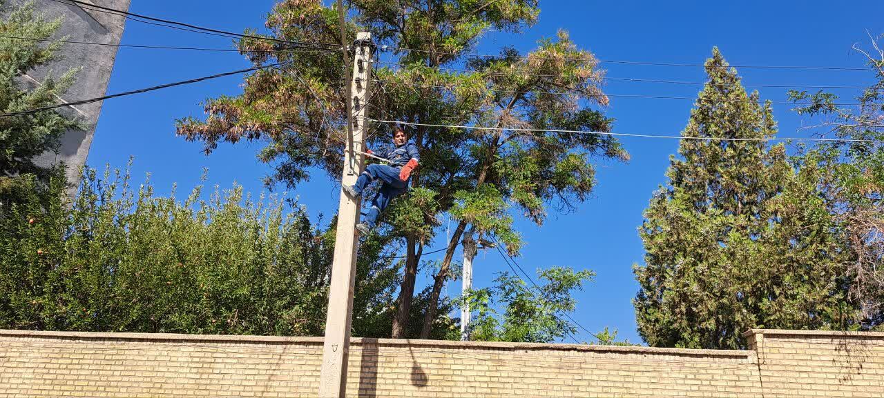 High Ropes Course – Pali