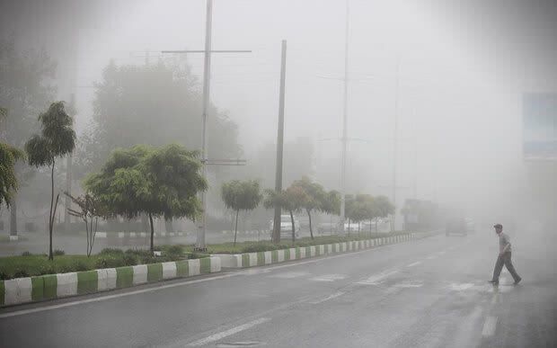 پیش بینی وقوع مه صبحگاهی برای برخی از مناطق بوشهر
