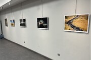 نمایشگاه عکس جشنواره بین‌المللی رسانه‌ای امام رضا(ع) در مشهد گشایش یافت