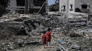 نجوم هوليوود يتضامنون مع فلسطين ضد انتهاكات الاحتلال في غزة