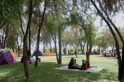 طراحی پارک جنگلی تفریحی بوشهر پایان یافت