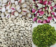 Iran exports $137mln pistachio in H1 calendar year