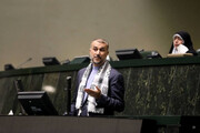 Amir Abdollahian: Irans humanitäre Hilfe ist bereit, nach Gaza geschickt zu werden