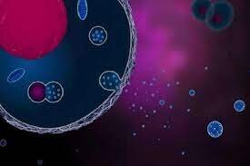 ذرات زیستی نانومقیاس به سادگی و سریع شناسایی می‌شوند