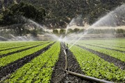 استاندار قم: مصرف آب در بخش کشاورزی استان ۲۰ درصد کاهش یابد