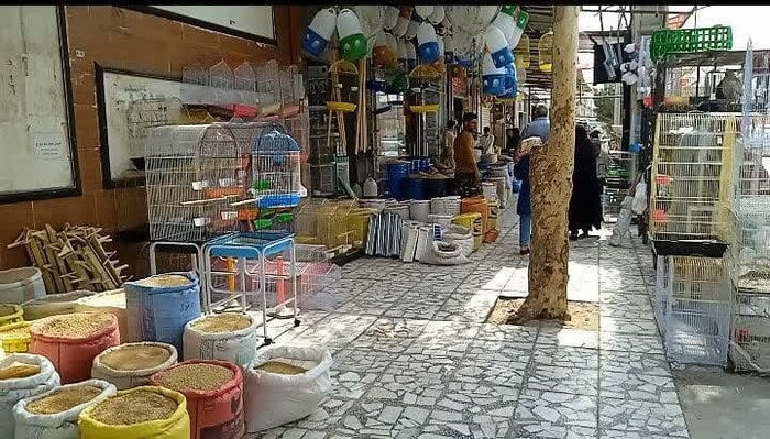 پیادهروهای زاهدان در تسخیر بساط کسبه و دستفروشان/ سد معبر؛ بلای روح و روان مردم