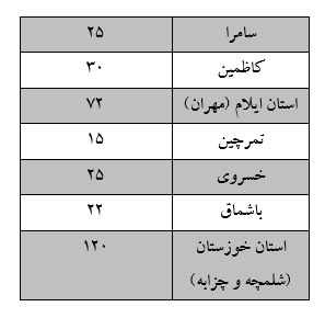 گزارش سیاستی «مردمی‌سازی مواکب مرزی اربعین»