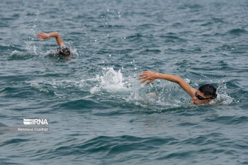 Sea swimming in Persian Gulf