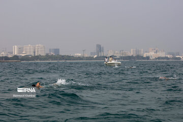 Sea swimming in Persian Gulf