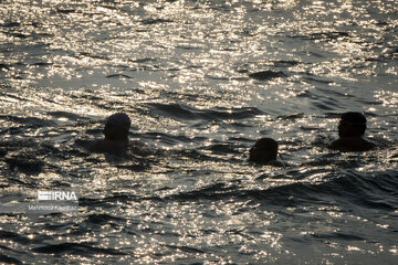 Sea swimming in Persian Gulf