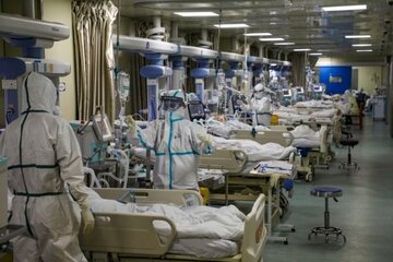 ۵۵ بیمار بدحال کرونایی در فارس خدمات مراقبت ویژه دریافت می کنند