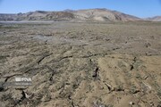 فیلم/ آه سوزناک «بارزو» زیر تازیانه خشکسالی