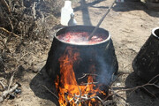 آیین سنتی پخت رب انار روستای گردشگری قلعه محمدعلی‌خان ری یکماه ادامه دارد