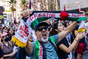 ادامه خیزش جهانی در حمایت از فلسطین