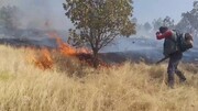 سه هکتار از مراتع جنگلی ارتفاعات گیلانغرب در آتش سوخت