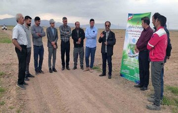 برگزاری پنجمین کاروان ترویج بهره‌وری الگوی کشت محصولات زراعی در کرمانشاه