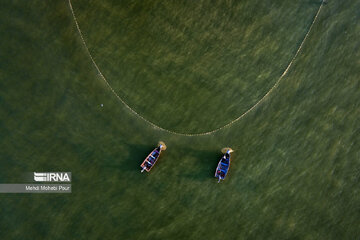 Fish hunting in Caspian Sea